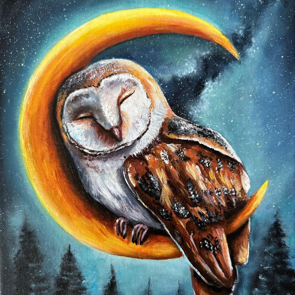 Barn Owl | Diamond Painting