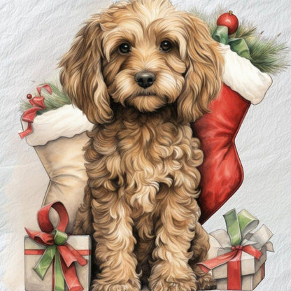 Dog Cockapoo | Diamond Painting