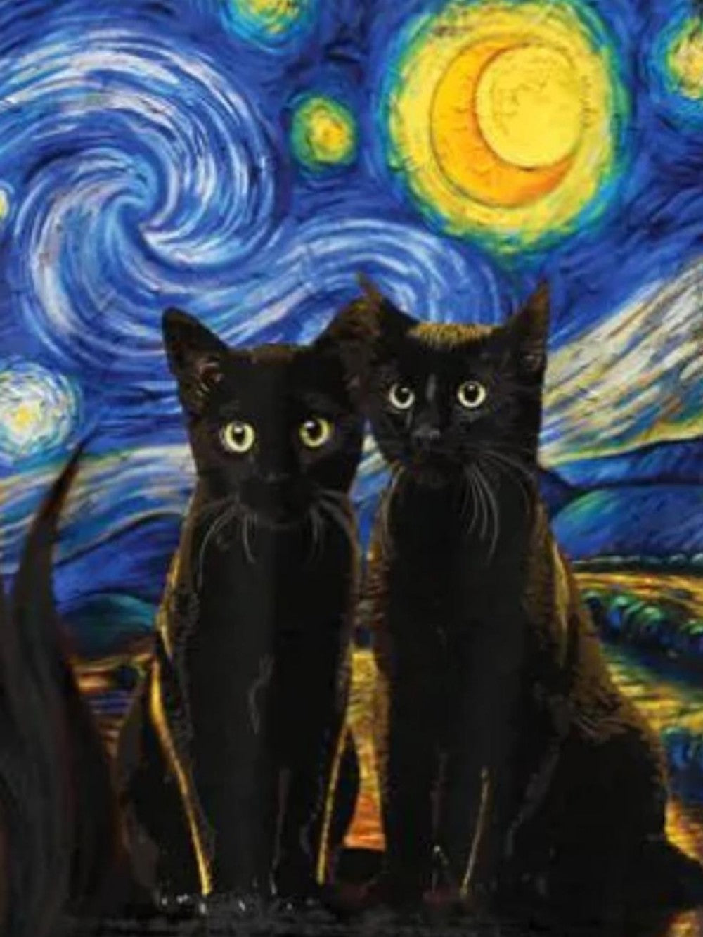 Midnight Cat | Diamond Painting