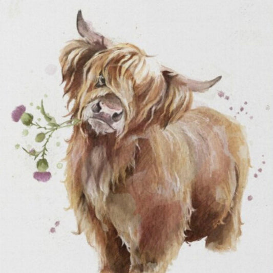 Highland Cow | Diamond Painting