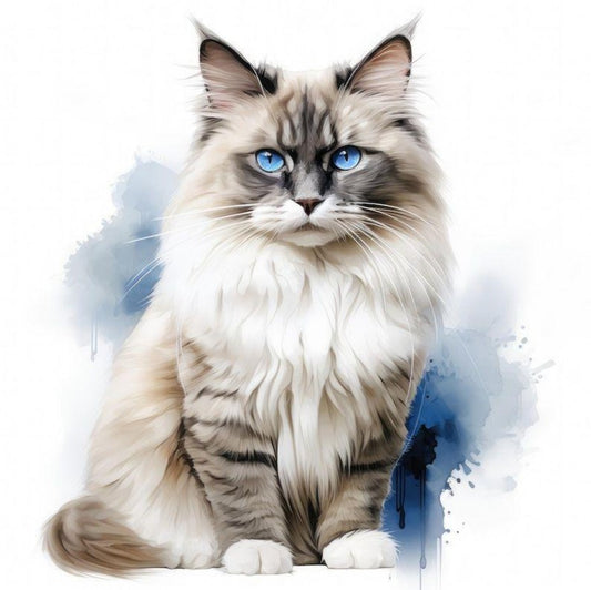 Ragdoll Cat | Diamond Painting