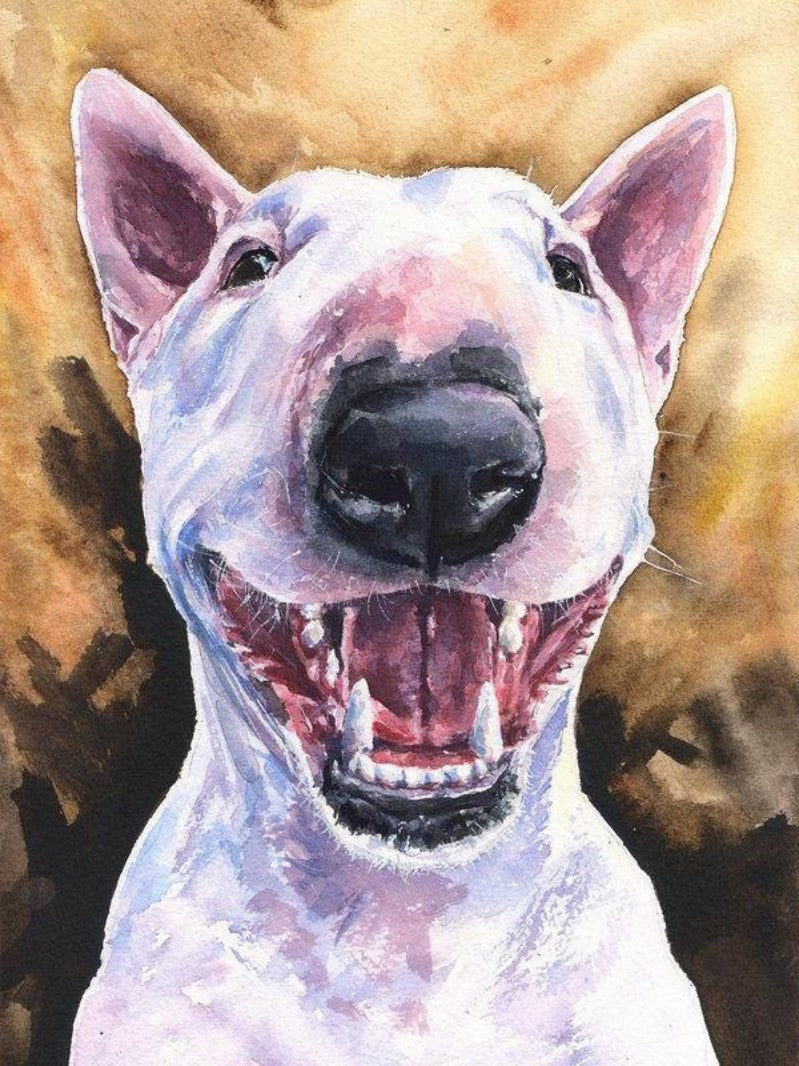 English Bull Terrier Dog | Diamond Painting