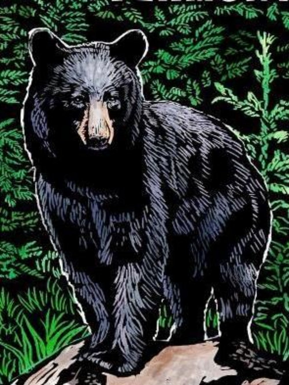 Black Bear | Diamond Painting