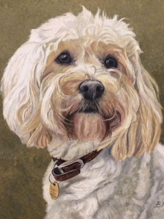 Cavapoo Dog | Diamond Painting