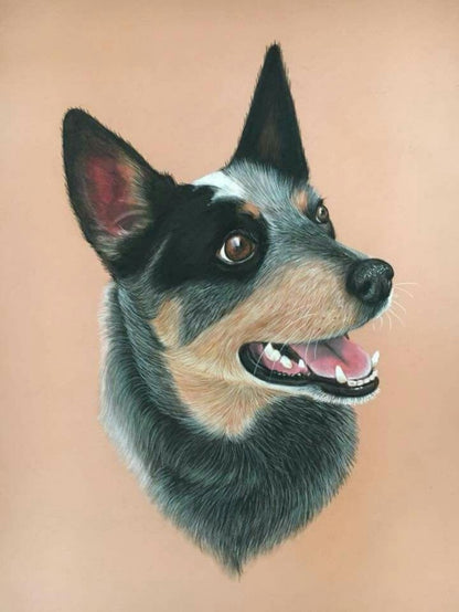 Cattle Dog (Blue Heeler) | Diamond Painting