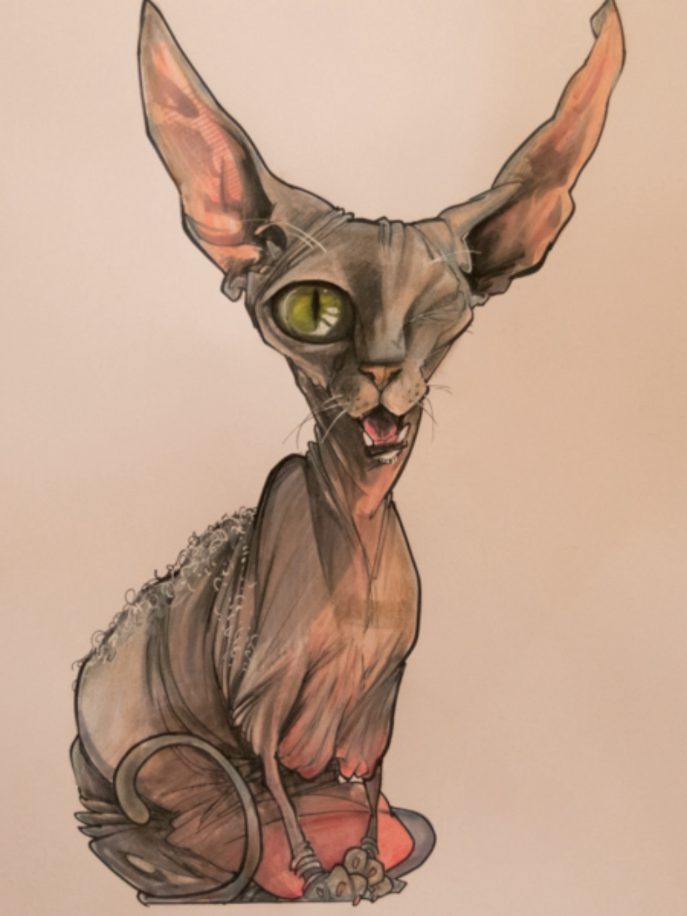 Sphynx Cat  | Diamond Painting