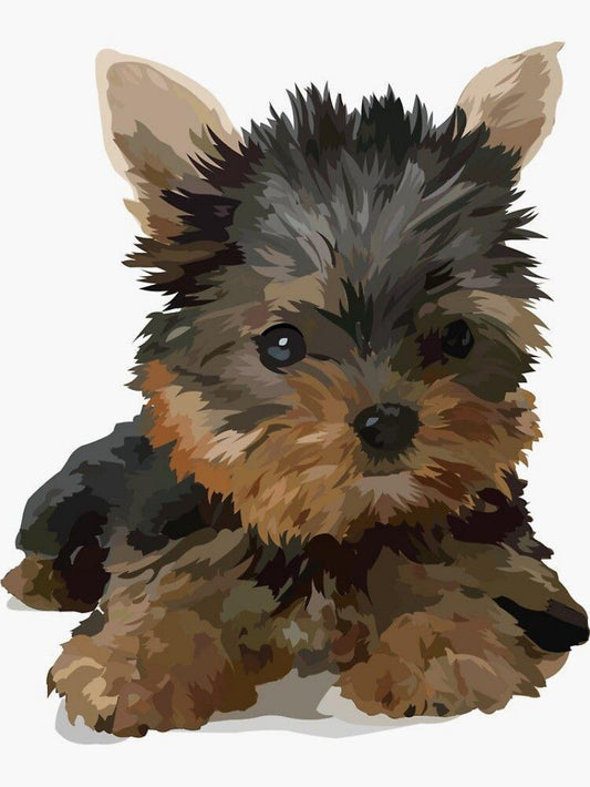 Dog Border Terrier | Diamond Painting