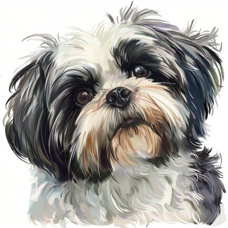 Havanese Dog | Diamond Painting
