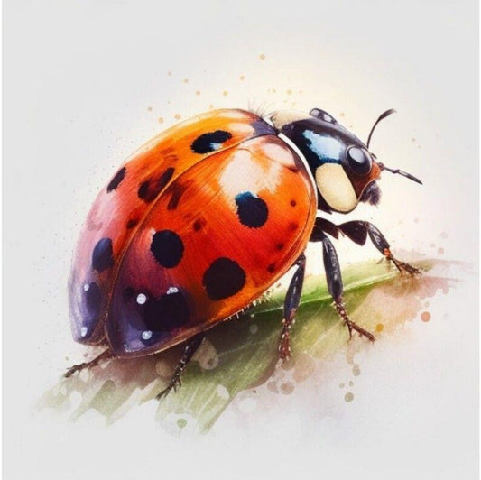 Ladybug | Diamond Painting