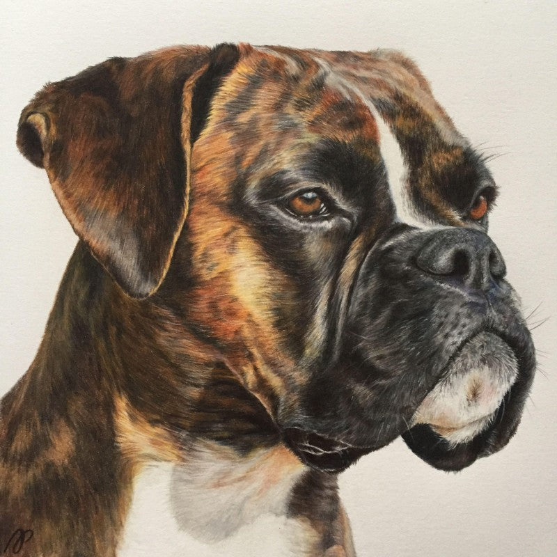Boxer Dog | Diamond Painting