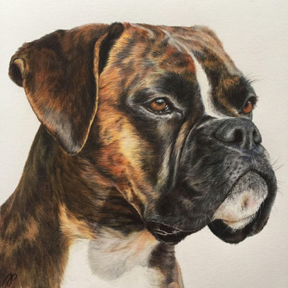 Boxer Dog | Diamond Painting