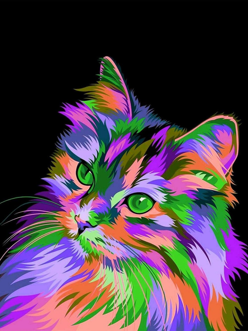 Colorful Cat | Diamond Painting