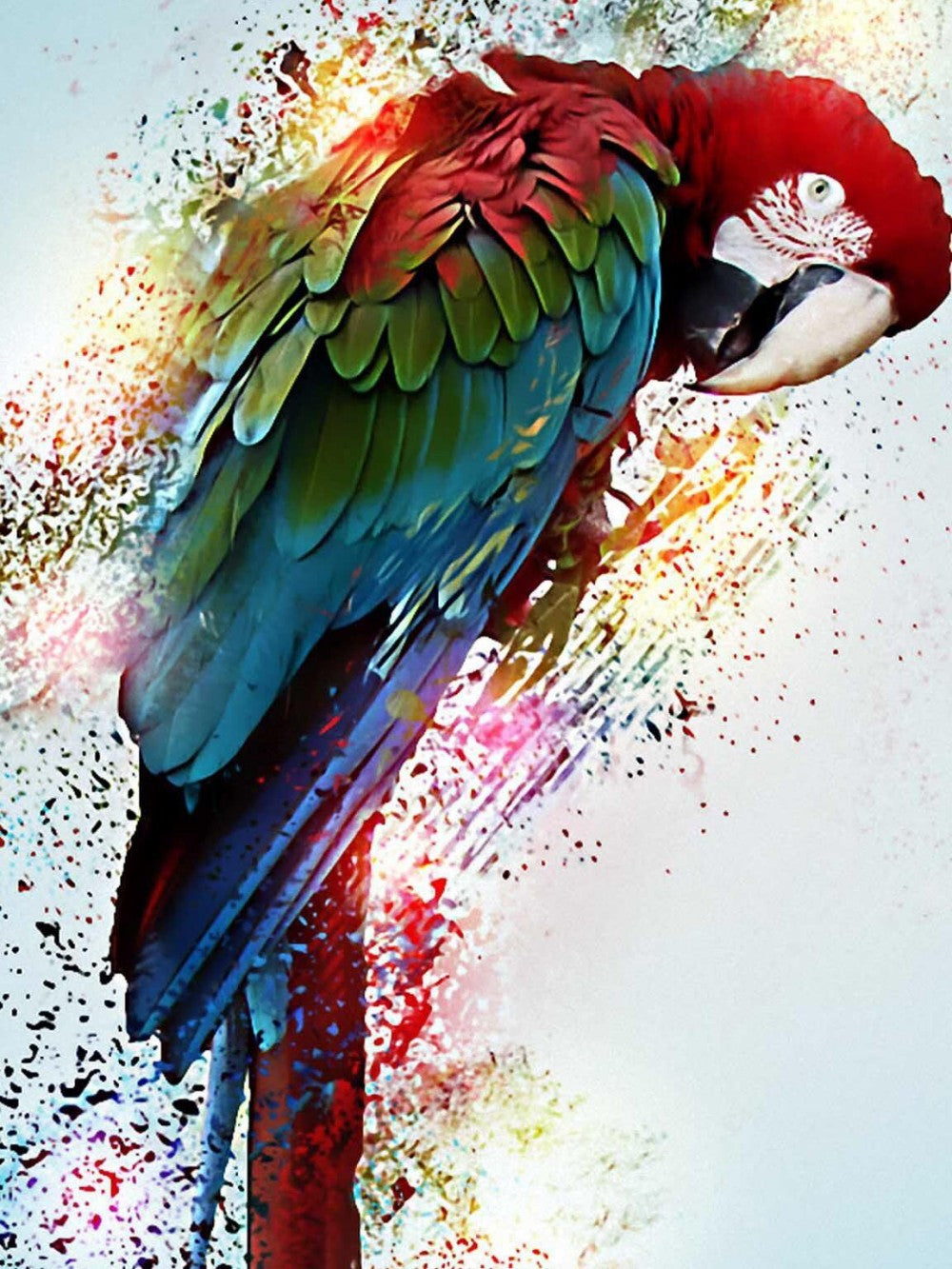 Macaw | Diamond Painting
