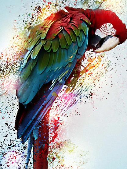 Macaw | Diamond Painting