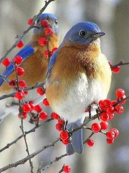 Blue Bird | Diamond Painting