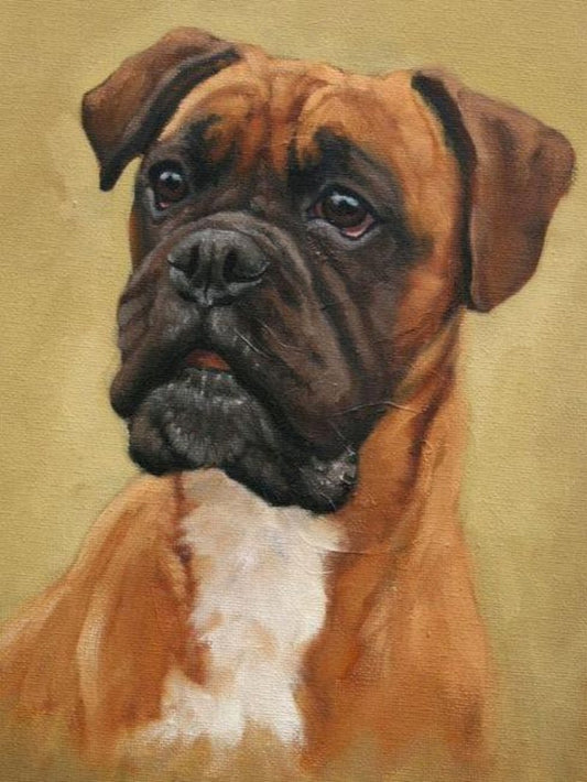 Boxer Dog | Diamond Painting