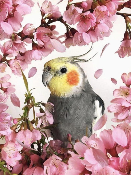 Cockatiel Parrot | Diamond Painting