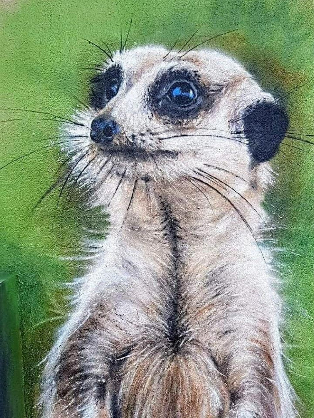 Meerkat | Diamond Painting