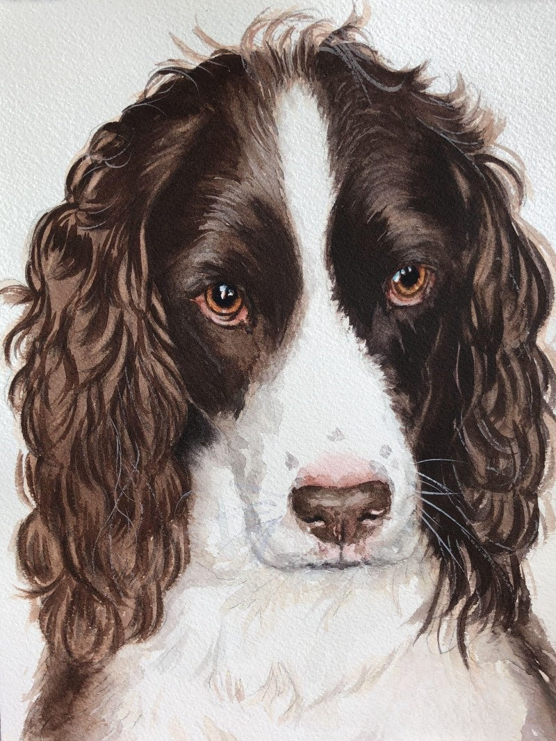 English Springer Spaniel Dog | Diamond Painting