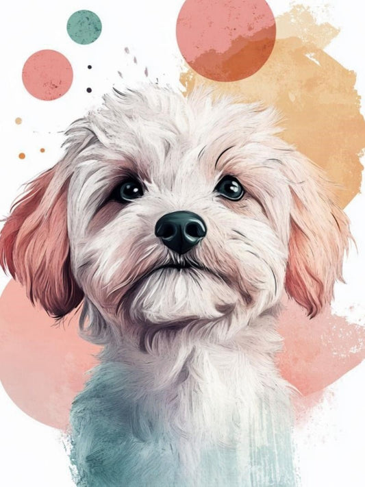 Cavapoo Dog | Diamond Painting