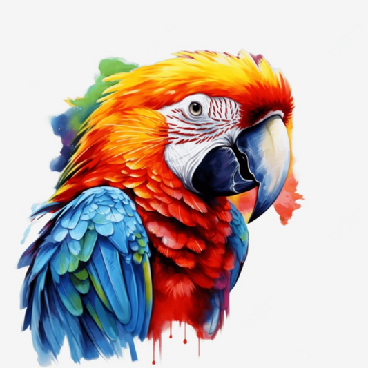 Macaw | Diamond Painting