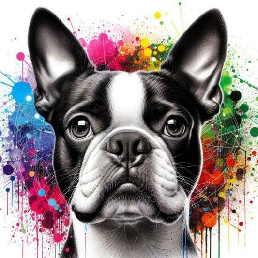 Boston Terrier Dog | Diamond Painting