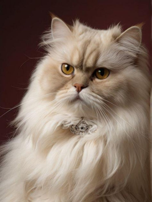 Persian Cat | Diamond Painting