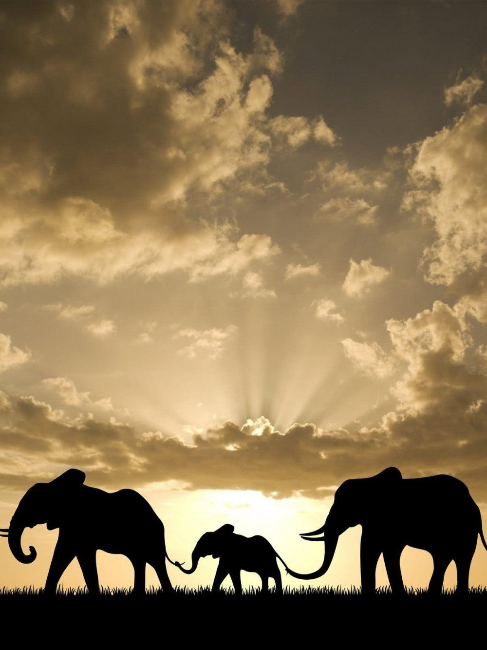Elephant | Diamond Painting