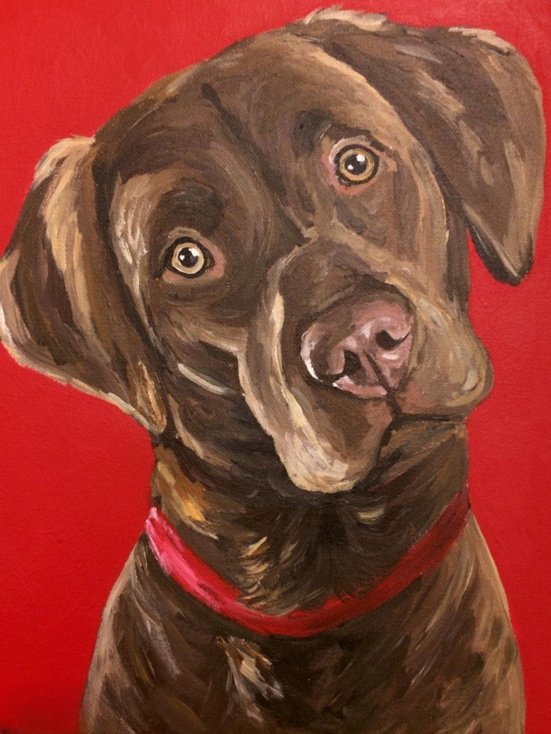 Chocolate Labrador Dog | Diamond Painting