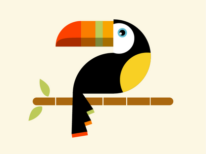 Toucan Bird | Diamond Painting