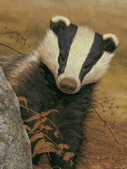 Badger | Diamond Painting