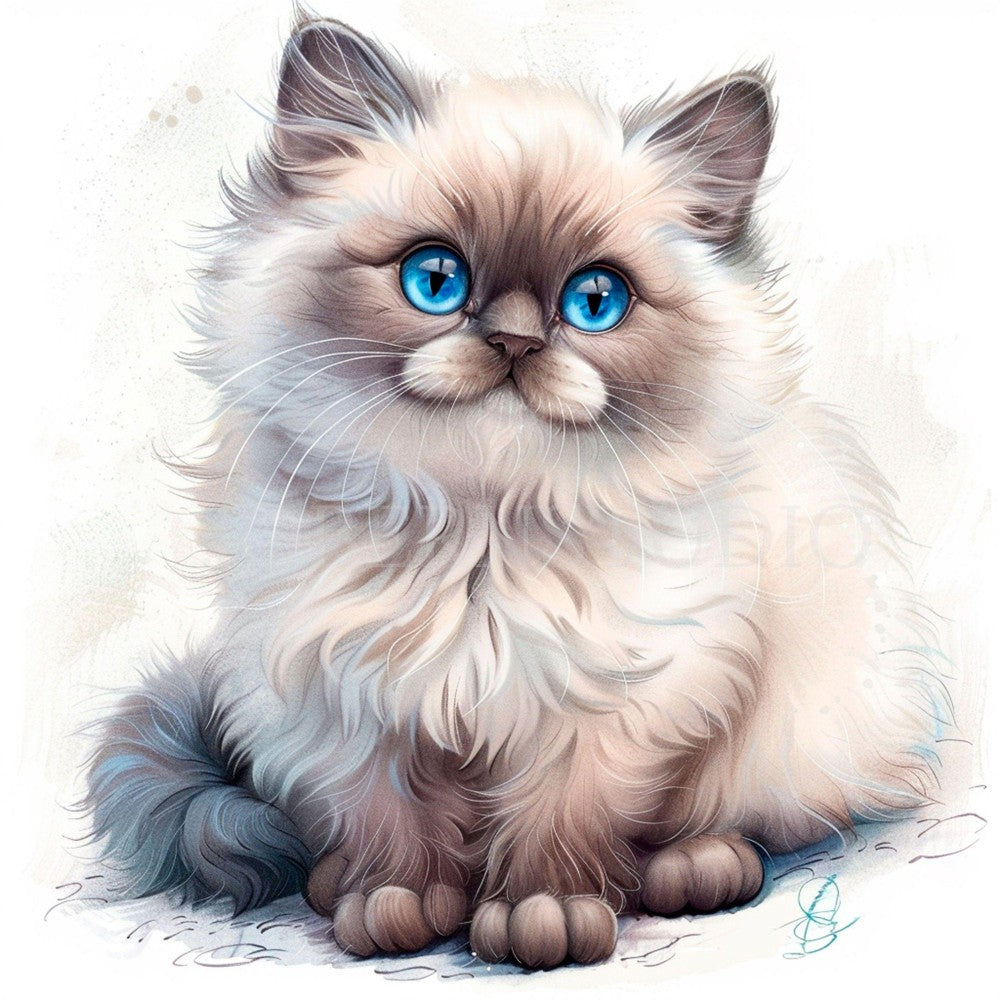 Ragdoll Cat | Diamond Painting