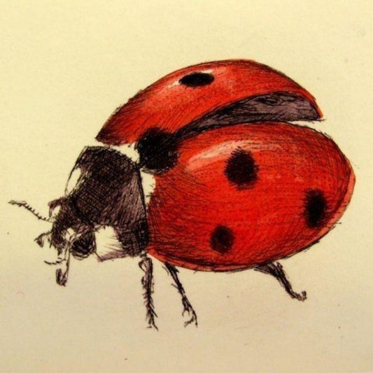 Ladybug | Diamond Painting