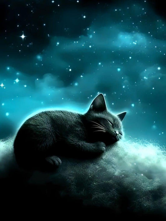 Midnight Cat | Diamond Painting