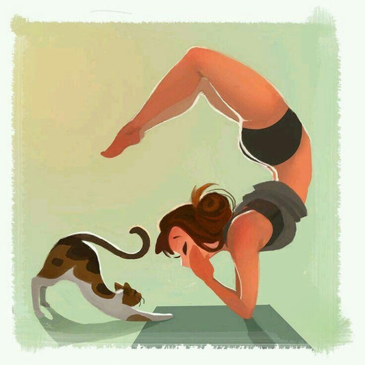 Cats Doing Yoga | Diamond Painting