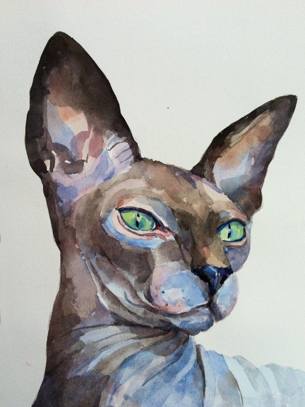 Sphynx Cat  | Diamond Painting