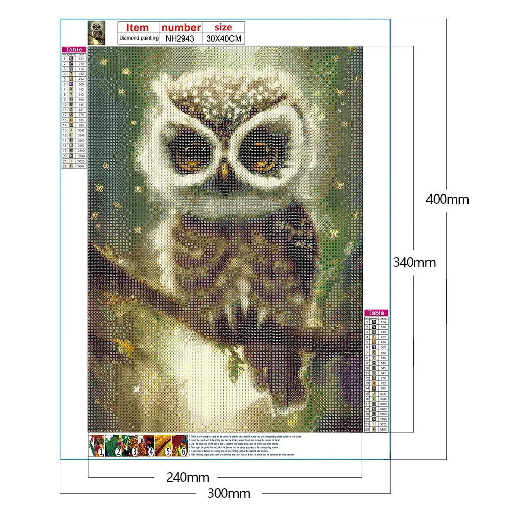 Owl | Diamond Painting