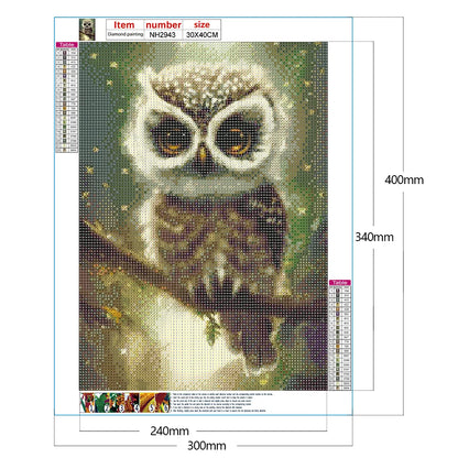 Owl | Diamond Painting