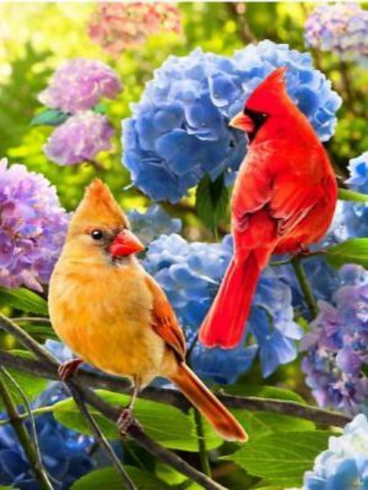 Birds and Flowers | Diamond Painting