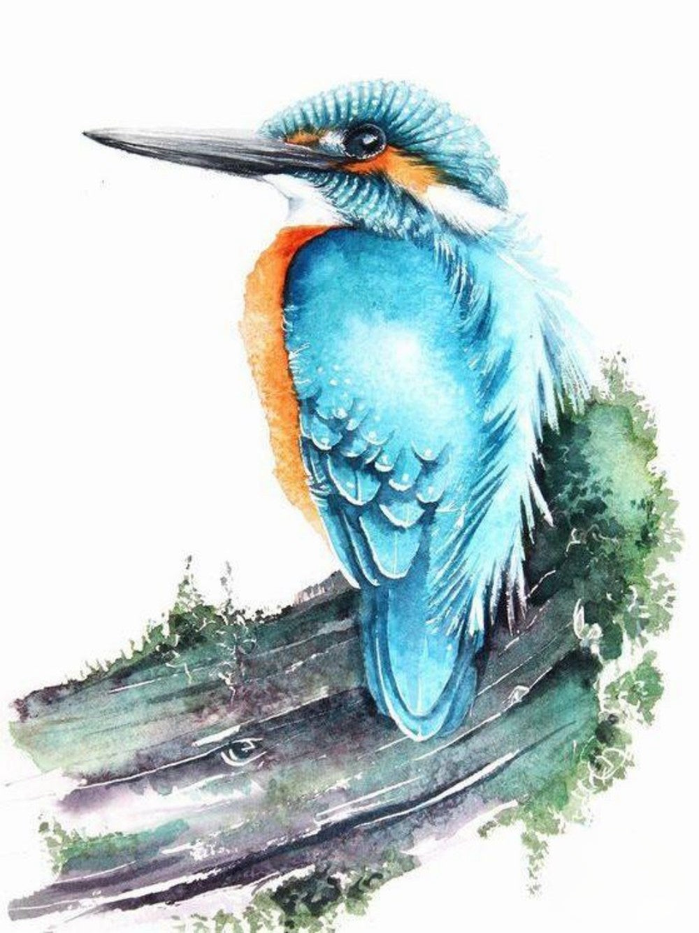 Kingfisher | Diamond Painting