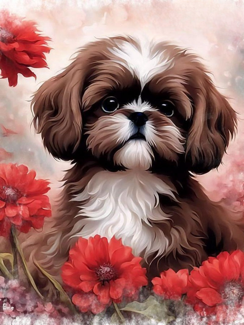 Havanese Dog | Diamond Painting
