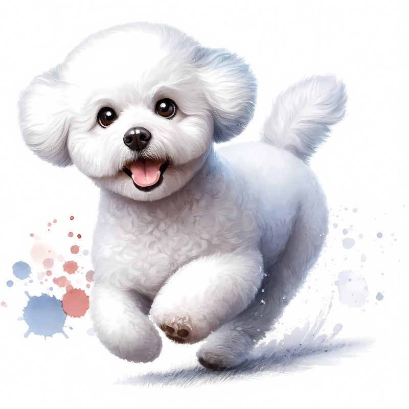 Dog Bichon Frise | Diamond Painting