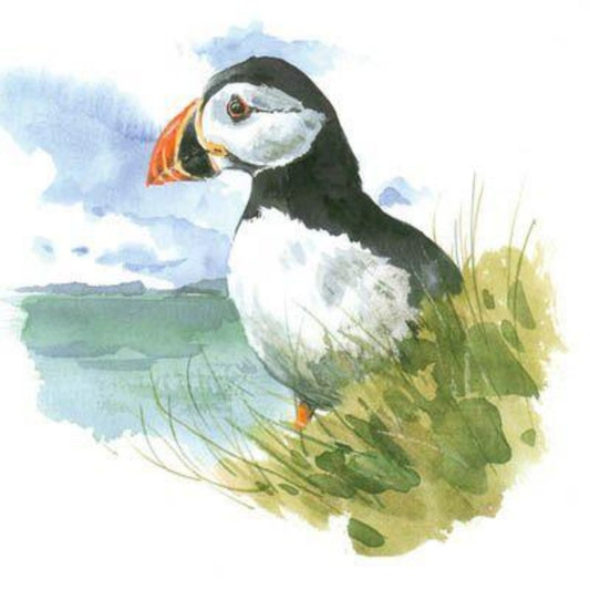 Puffin | Diamond Painting