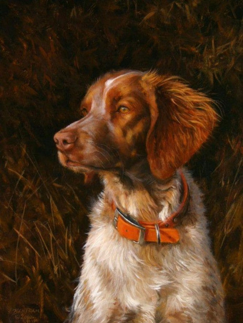 Brittany Spaniel Dog | Diamond Painting