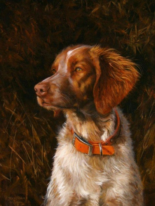 Brittany Spaniel Dog | Diamond Painting