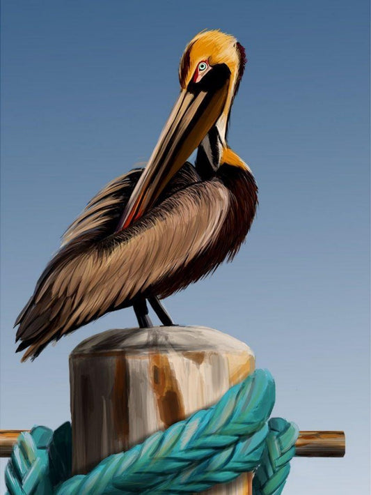 Pelican | Diamond Painting