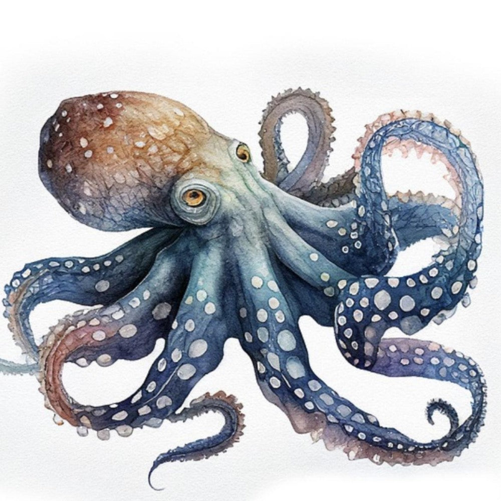 Octopus | Diamond Painting