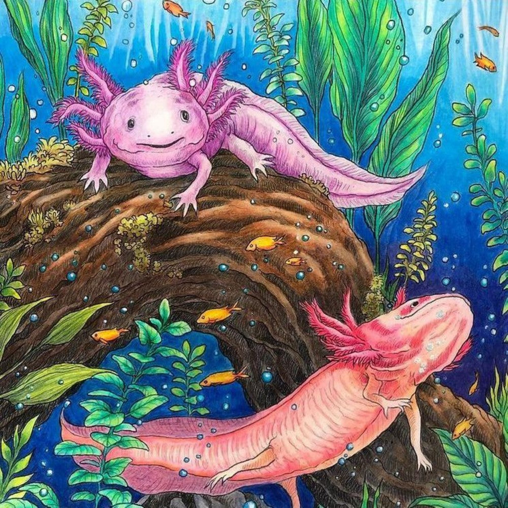 Axolotl | Diamond Painting