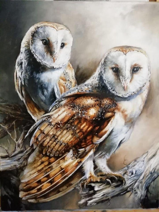 Barn Owl | Diamond Painting