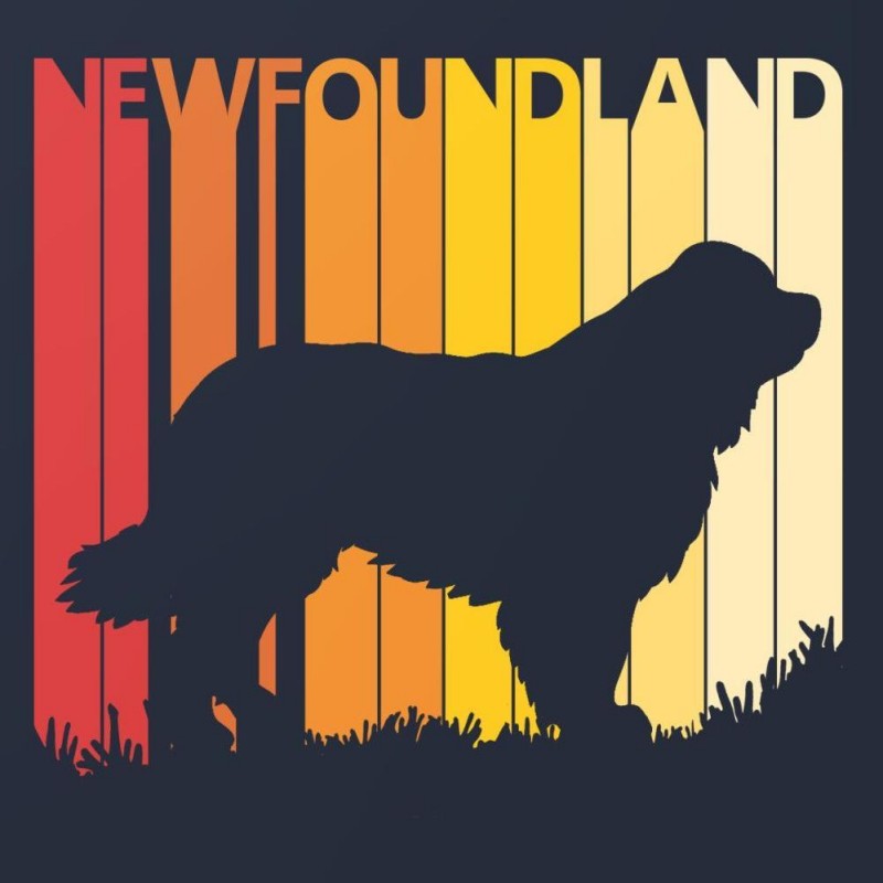 Newfoundland Dog | Diamond Painting